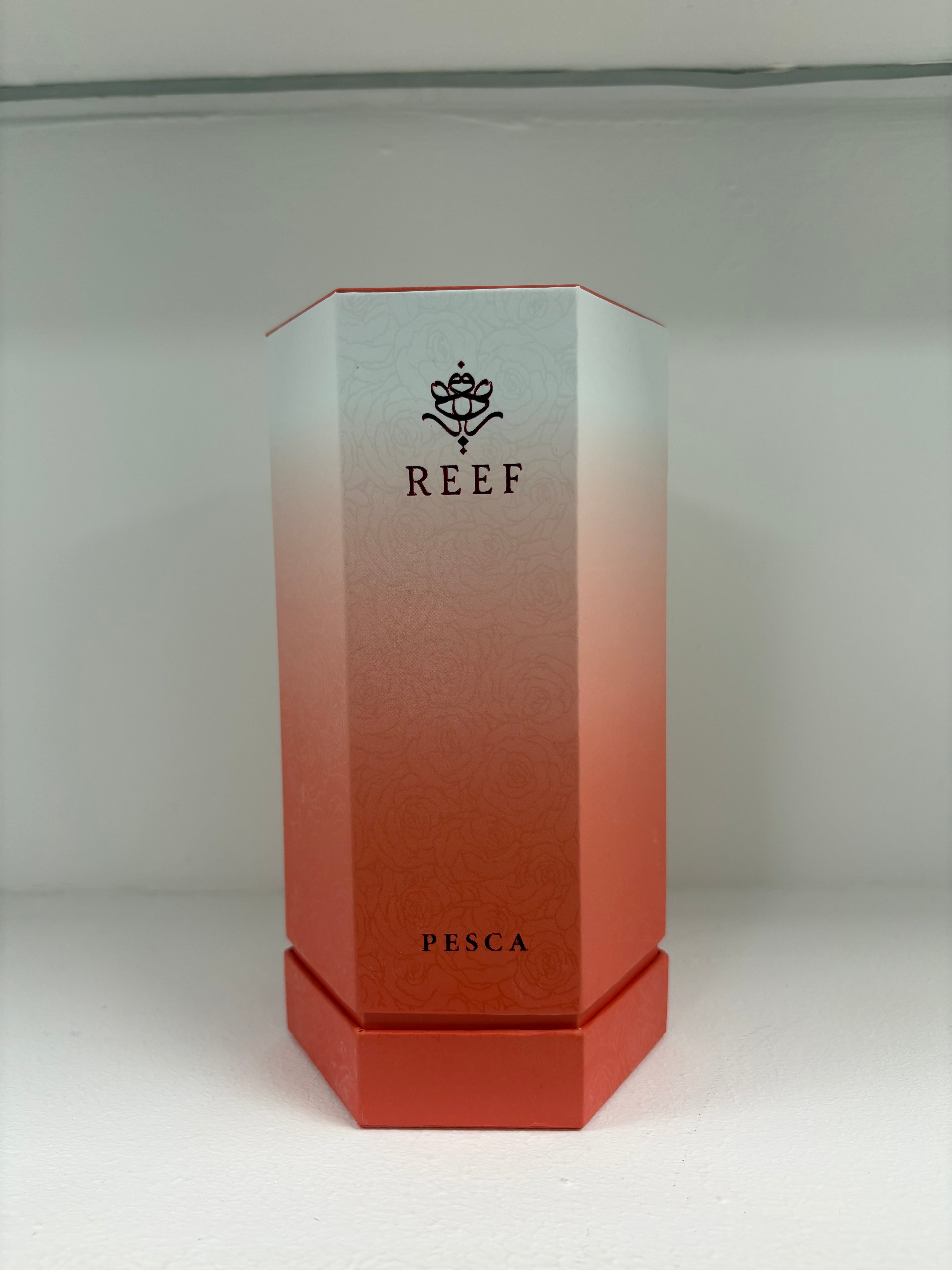 REEF - Pesca