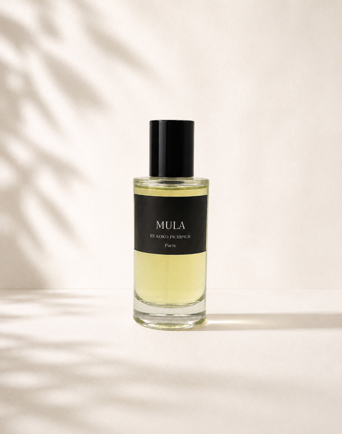 Mula