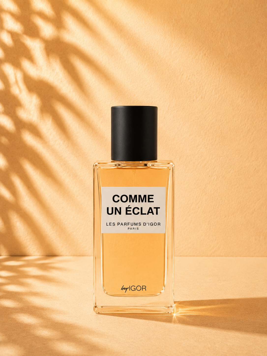 Comme Un Éclat